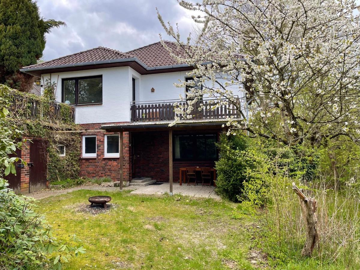 Ferienwohnung Hitzacker/Elbe المظهر الخارجي الصورة