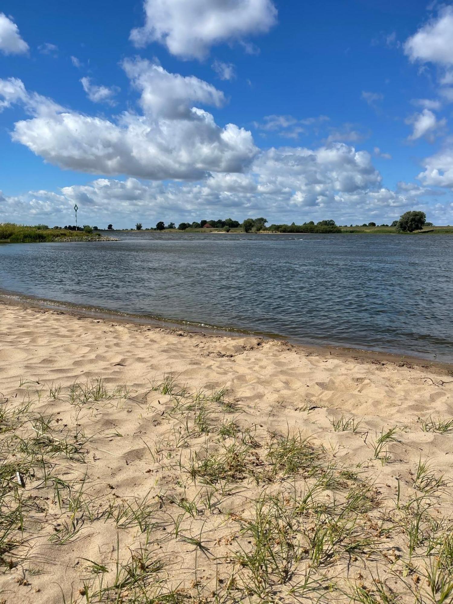 Ferienwohnung Hitzacker/Elbe المظهر الخارجي الصورة
